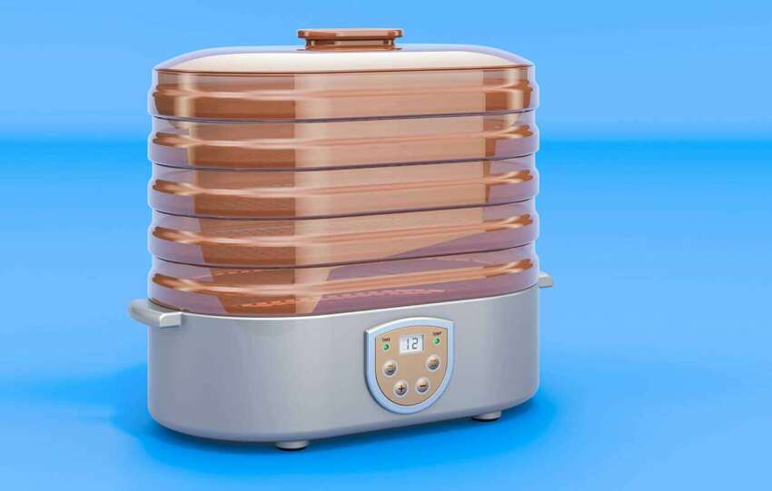 Best Food Dehydrators