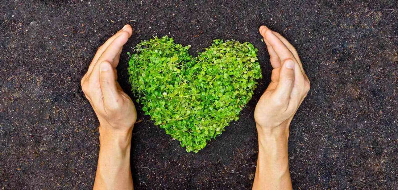 eco-friendly-lifestyle