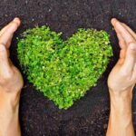 eco-friendly-lifestyle