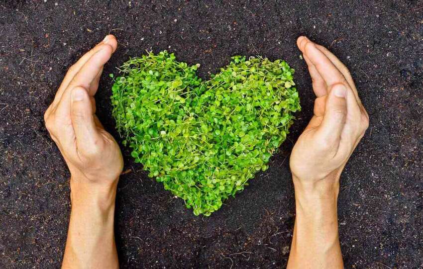 eco-friendly-lifestyle