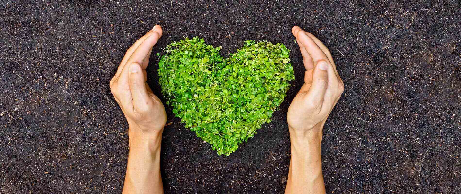 eco-friendly-lifestyle