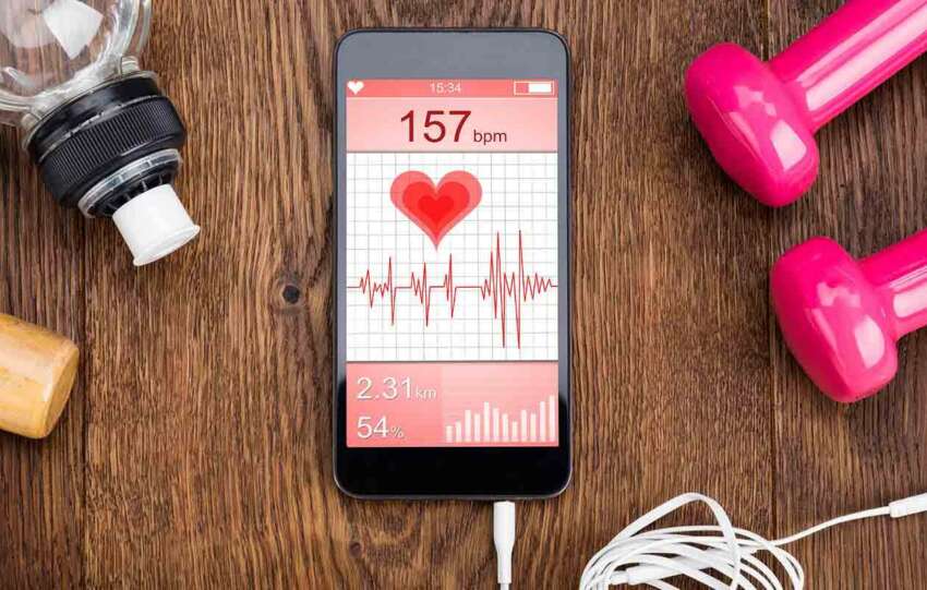 GYM and Fitness Software