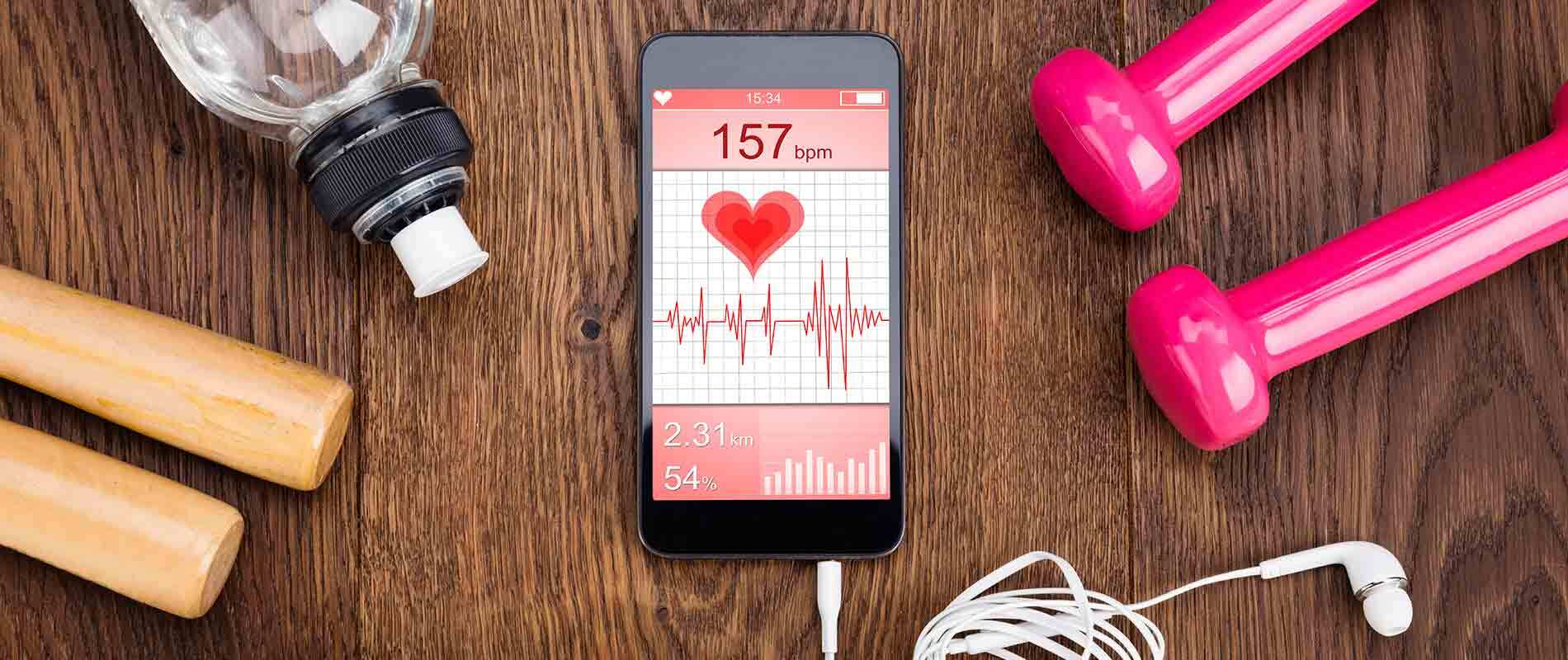 GYM and Fitness Software