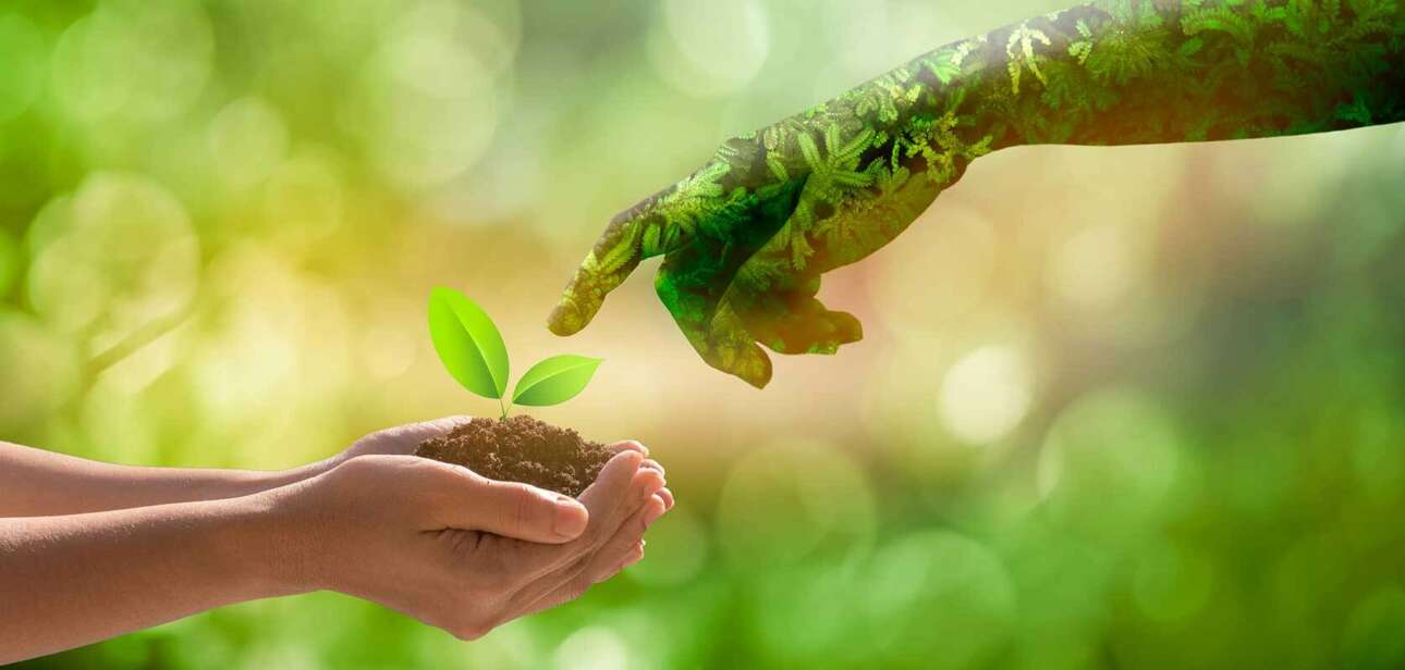 Grow Nourish and Sustain Together with Nature