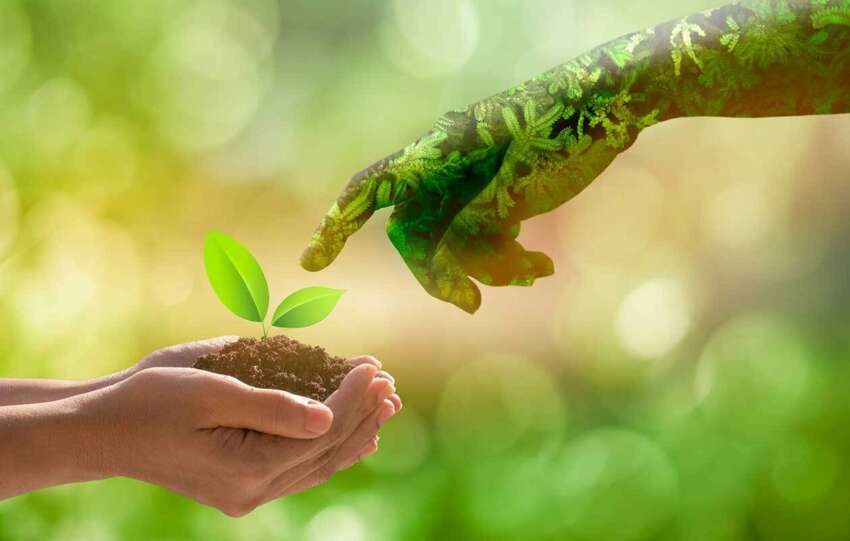 Grow Nourish and Sustain Together with Nature