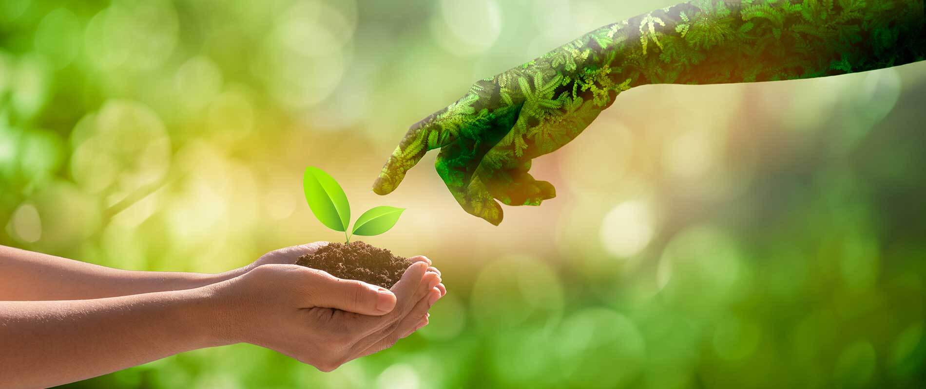 Grow Nourish and Sustain Together with Nature