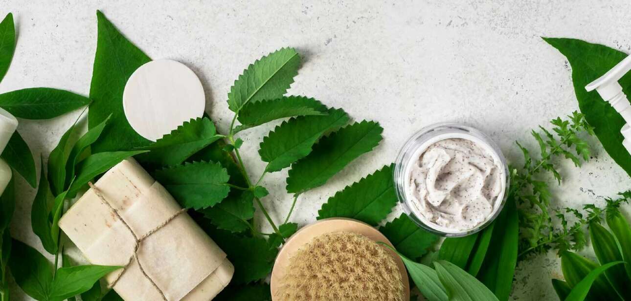 Non-Toxic And Chemical Free Life