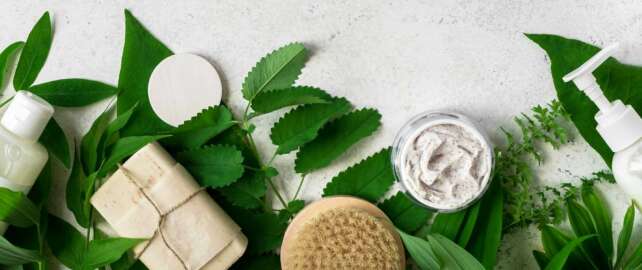 Non-Toxic And Chemical Free Life