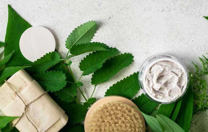 Non-Toxic And Chemical Free Life