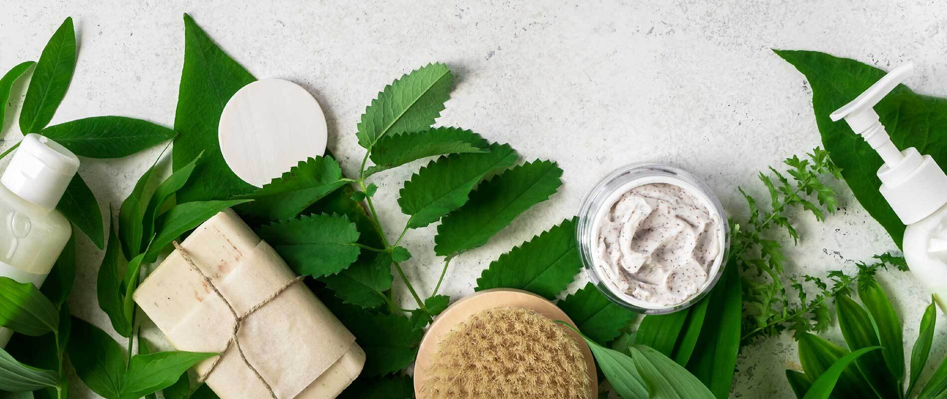 Non-Toxic And Chemical Free Life