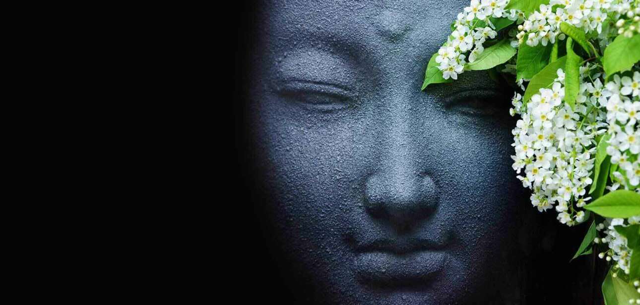 Best-Meditation-Techniques-In-Buddhism