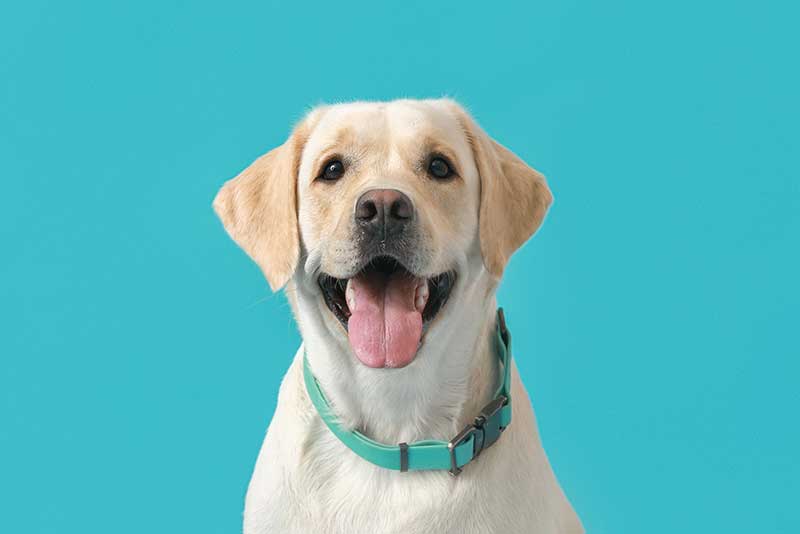 It keeps depression at bay