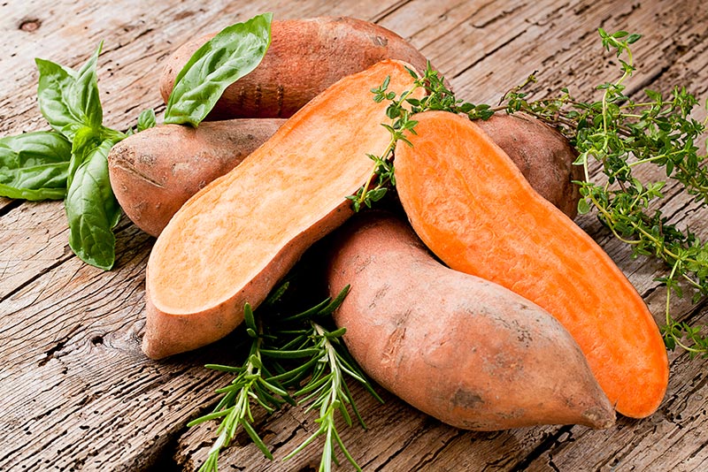 Sweet Potatoes - Ideal Post-Run Meal