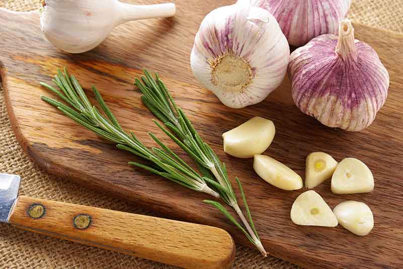 Garlic