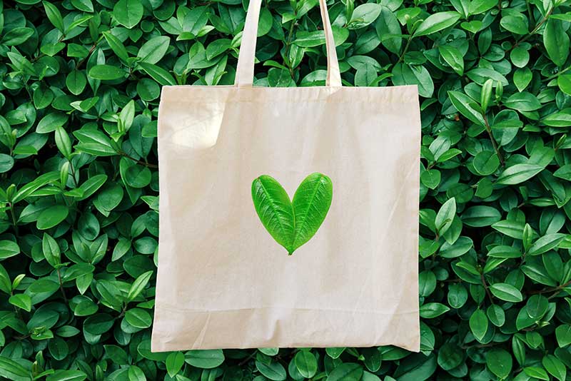 Choose local and fresh