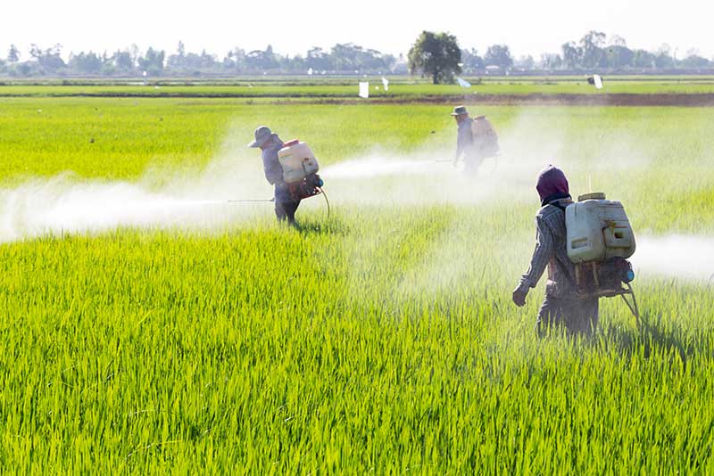 Agriculture