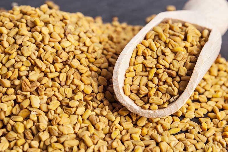Fenugreek Seeds

