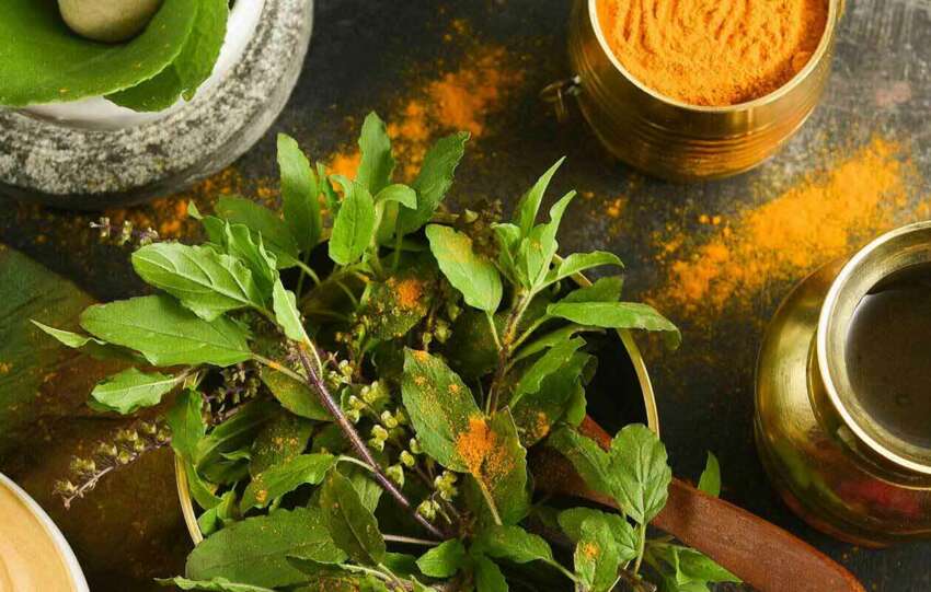 Fundamentals-Of-Ayurveda