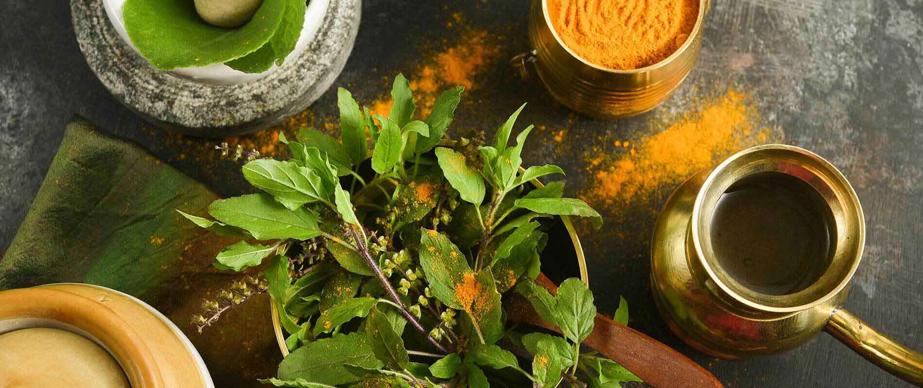 Fundamentals-Of-Ayurveda