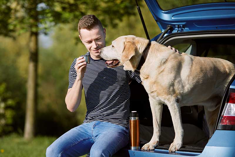 Good Dogs Manner