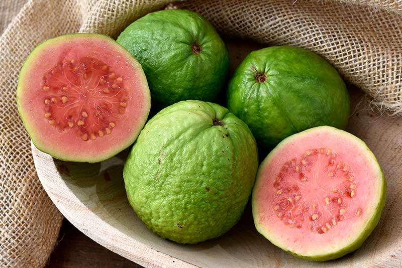 Guava