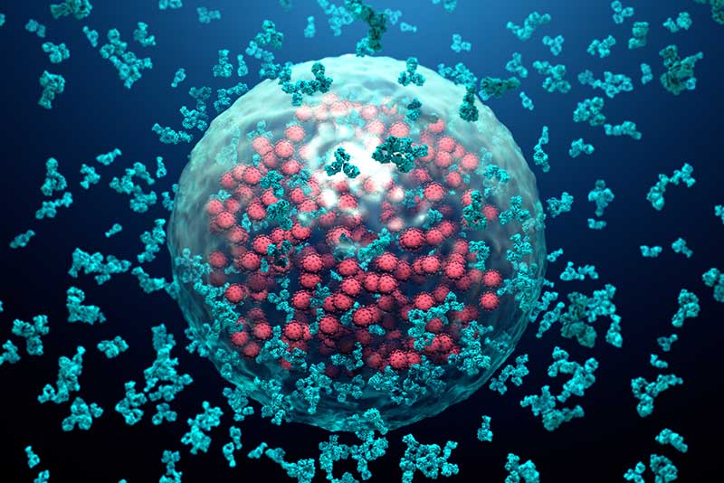 It flushes toxins from the body
