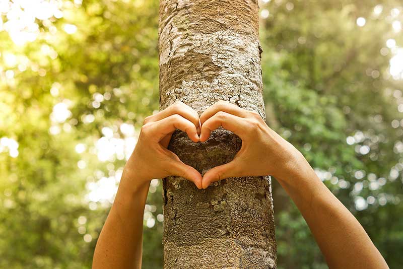 Mindful and grategul