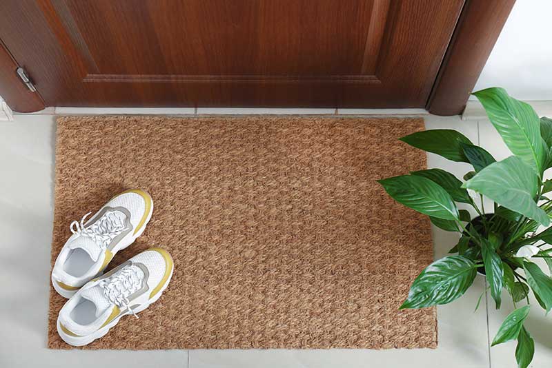 Take out your shoes at the door