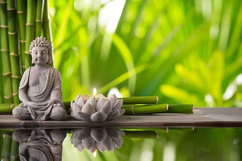 Qigong Meditation
