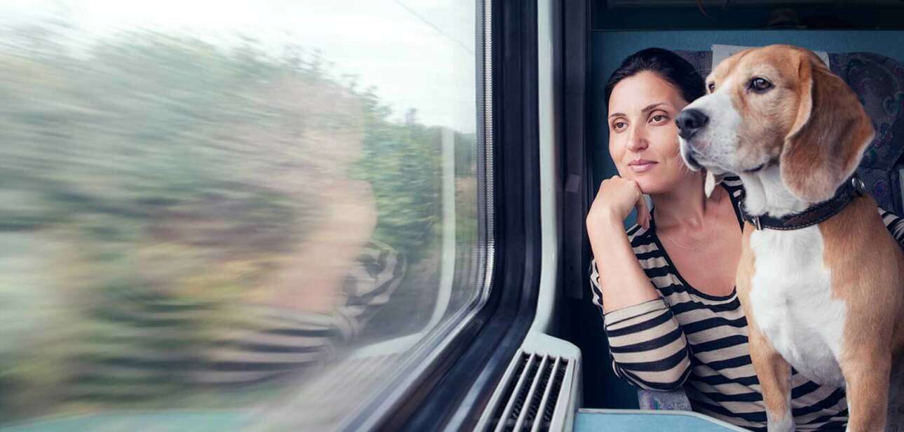 Train Travel With Dog In India