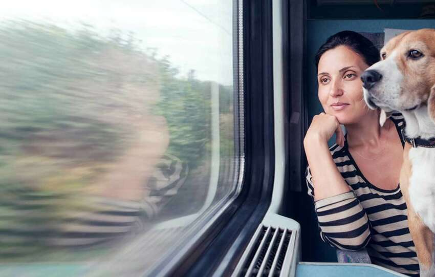 Train Travel With Dog In India
