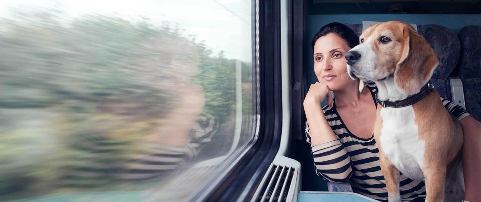 Train Travel With Dog In India