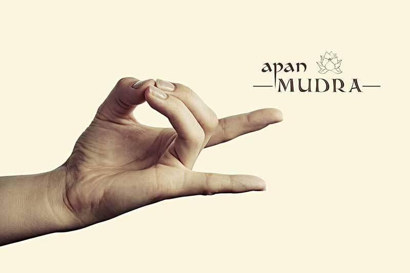 Apan Mudra