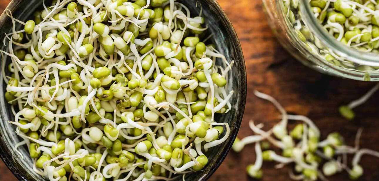 Benefits-of-Sprouts