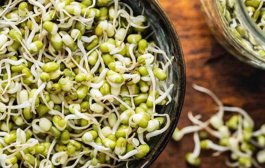 Benefits-of-Sprouts