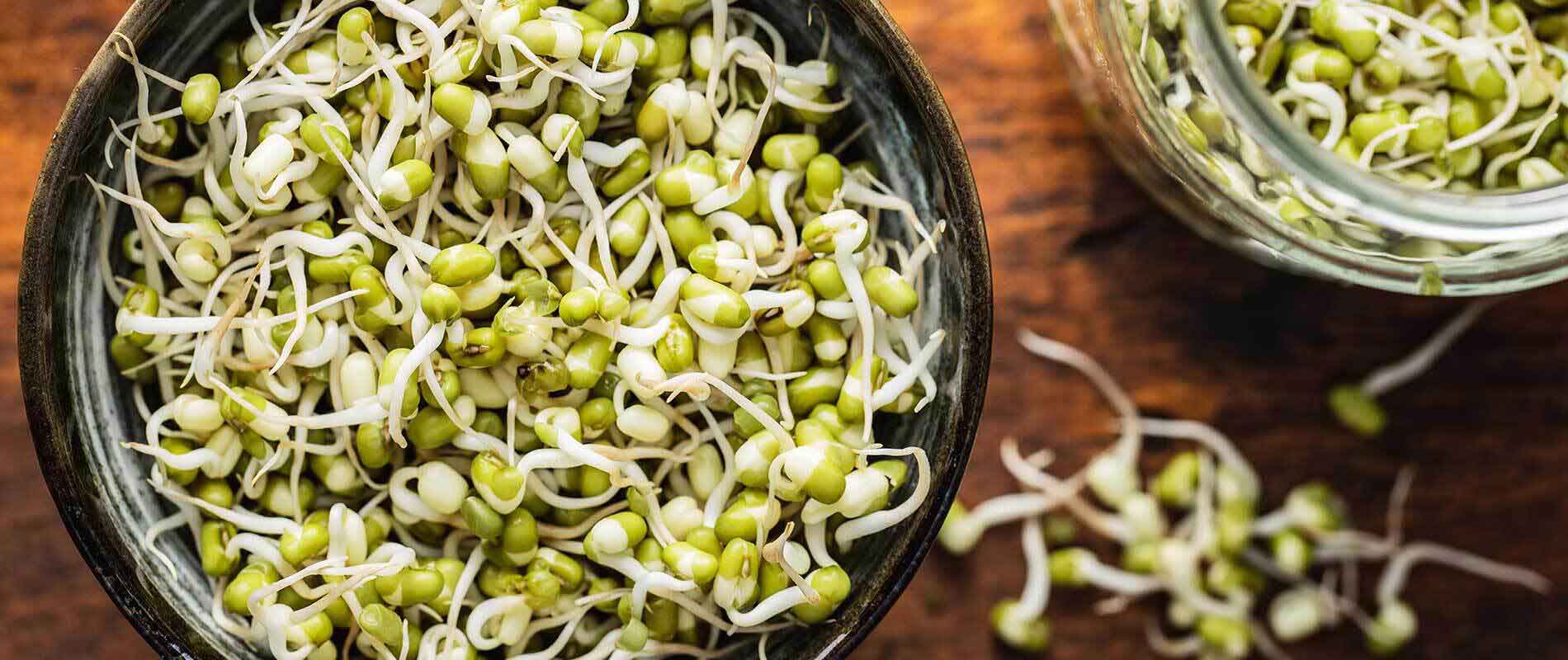 Benefits-of-Sprouts