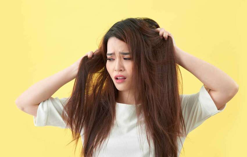 Shampoo For Dry Hair