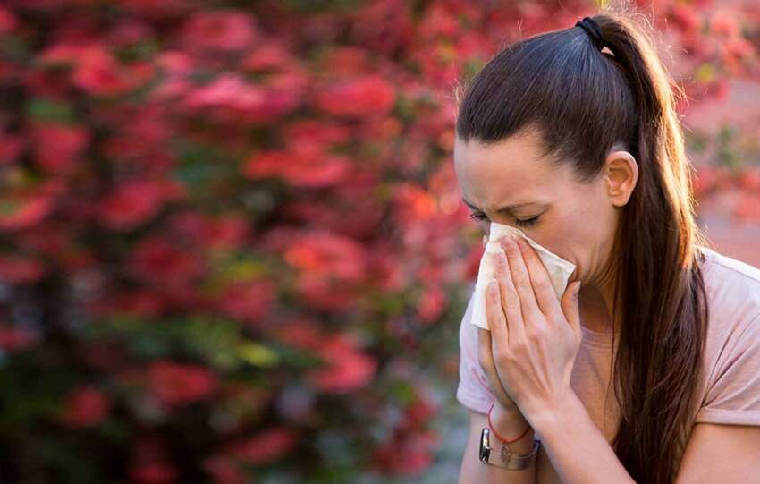 Why allergies are on the rise worldwide