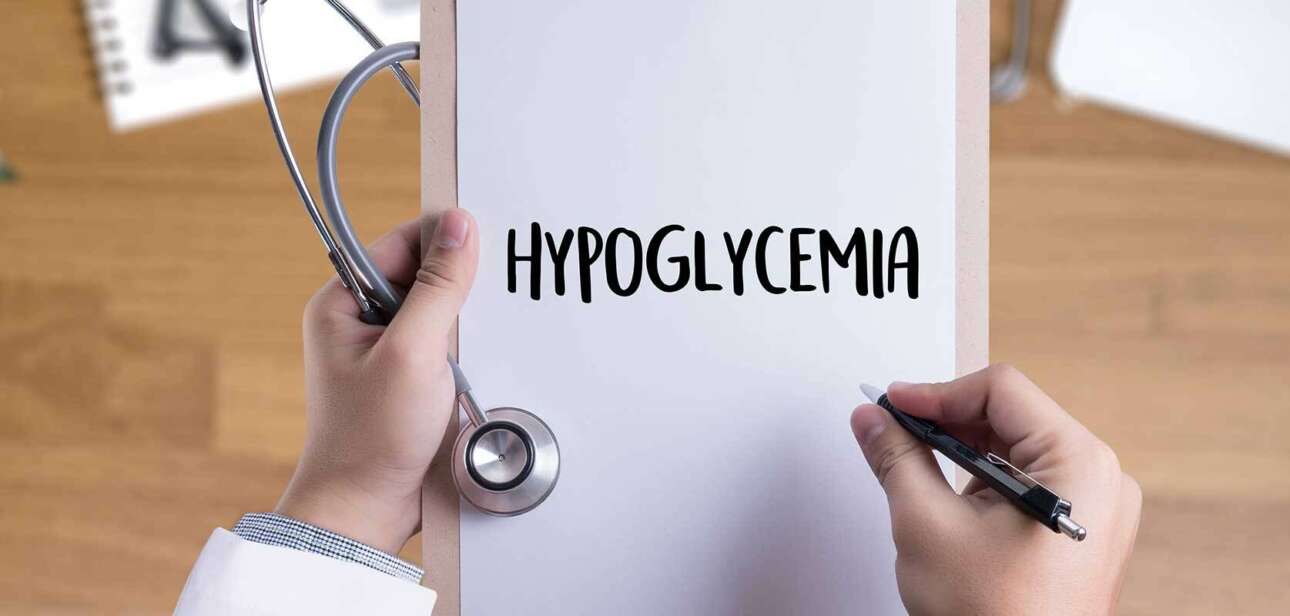 Hypoglycemia In Dogs