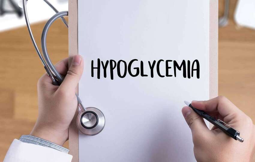 Hypoglycemia In Dogs