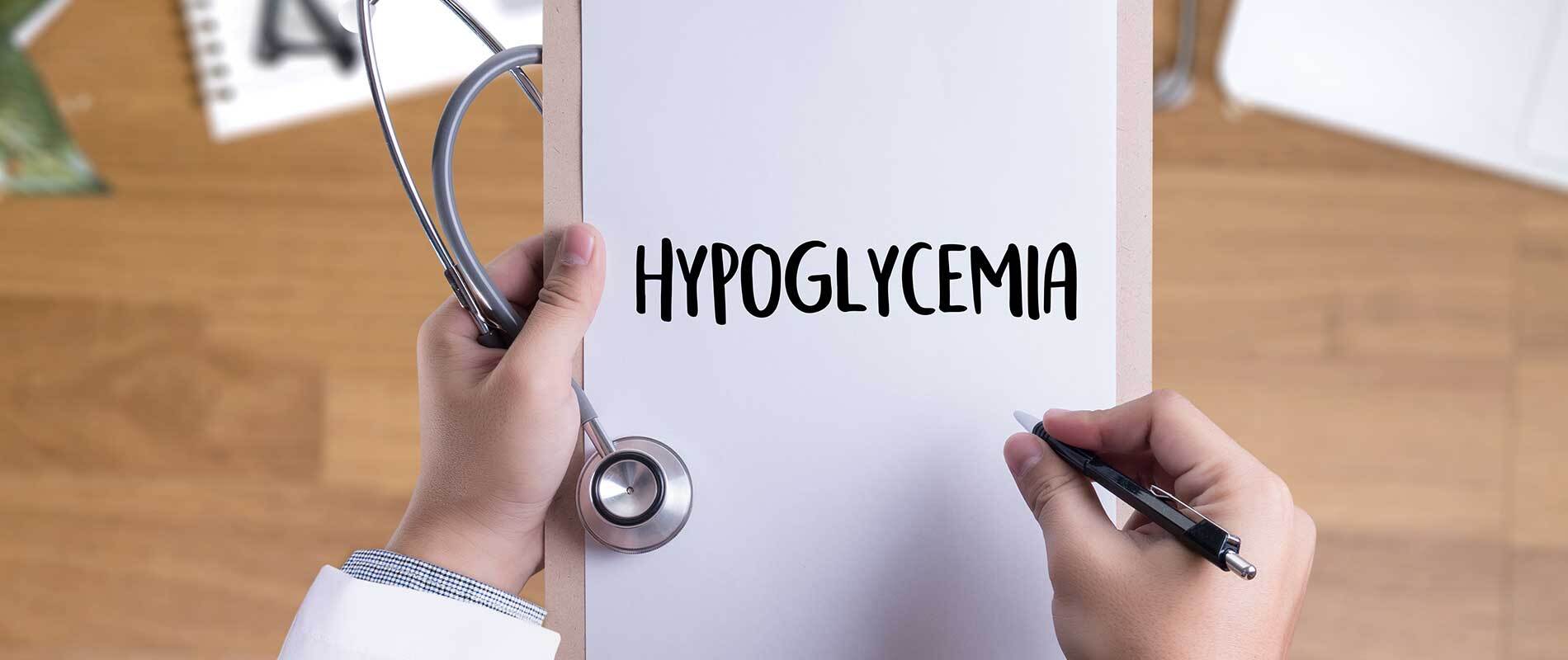 Hypoglycemia In Dogs