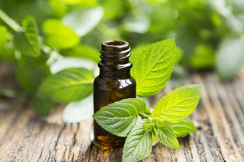 Peppermint oil