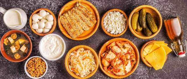 Fermented-Food-Products