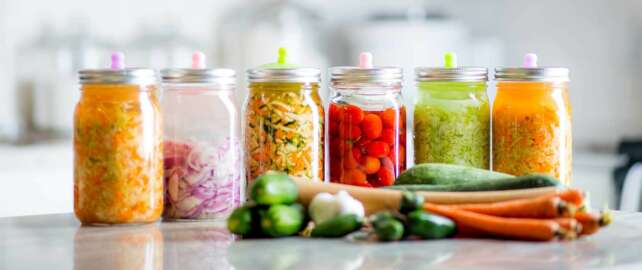 Fermented Pickle Recipes