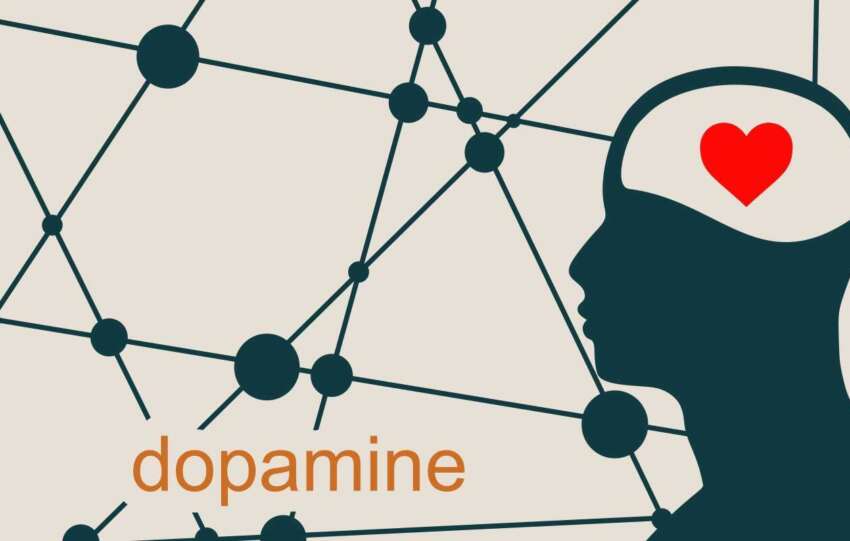 Dopamine And Love