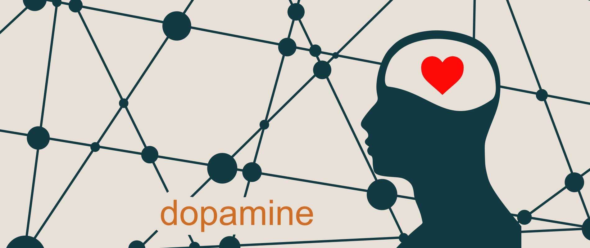 Dopamine And Love