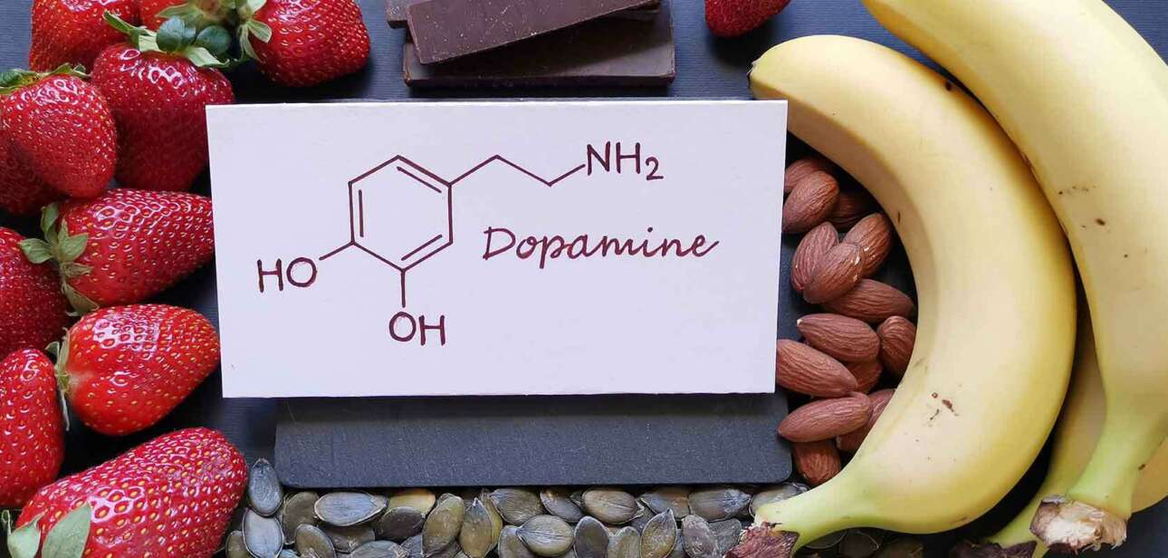 Food To Increase Dopamine Levels