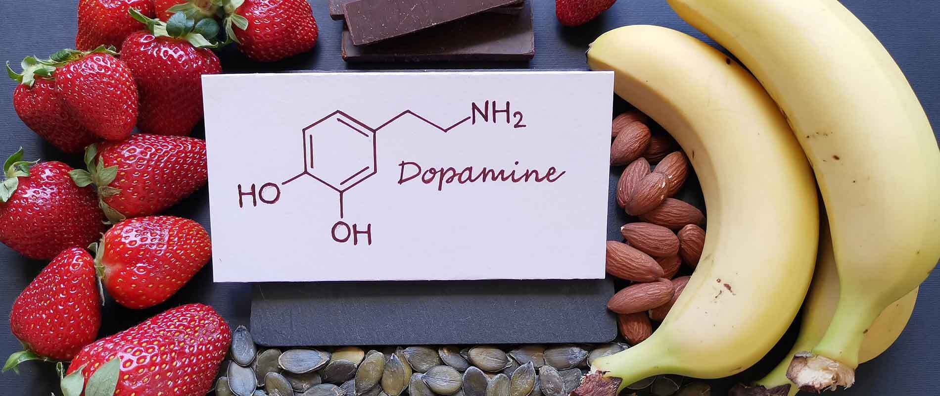 Food To Increase Dopamine Levels