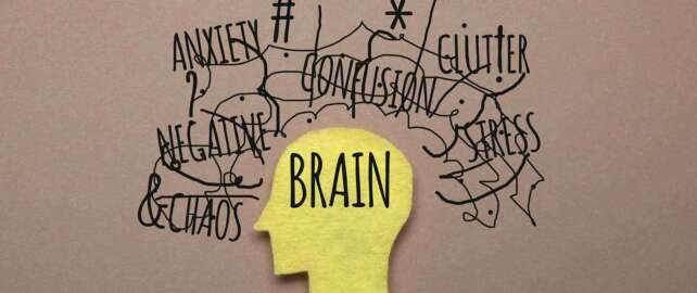 Link Between Dopamine and ADHD