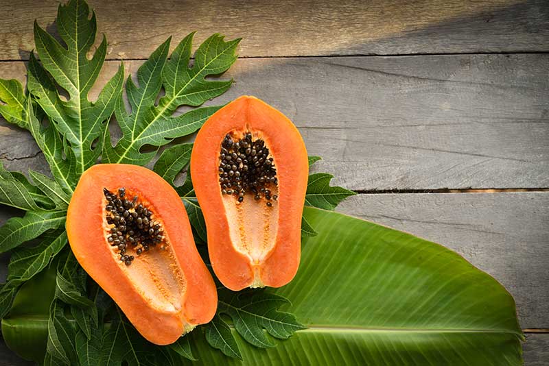 Papaya
